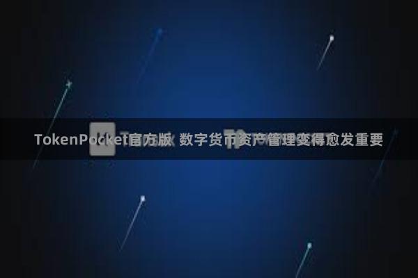 TokenPocket官方版  数字货币资产管理变得愈发重要